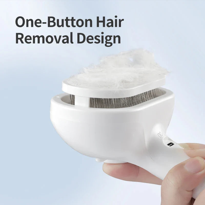 Oumbärlig Ångborste för husdjur