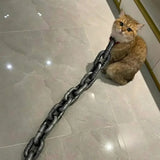 Hundhalsband för små hundar överdimensionerat