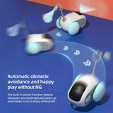 Laddningsbar kul  kattleksak